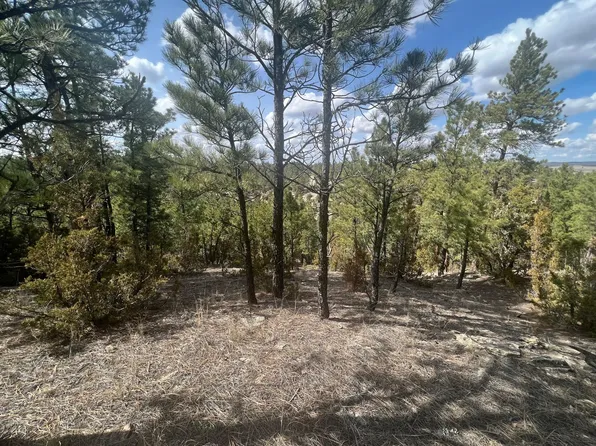 45 Winchester Dr, Roundup, MT 59072