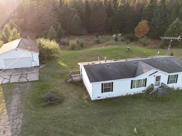 11298 S Black River Rd, Onaway, MI 49765