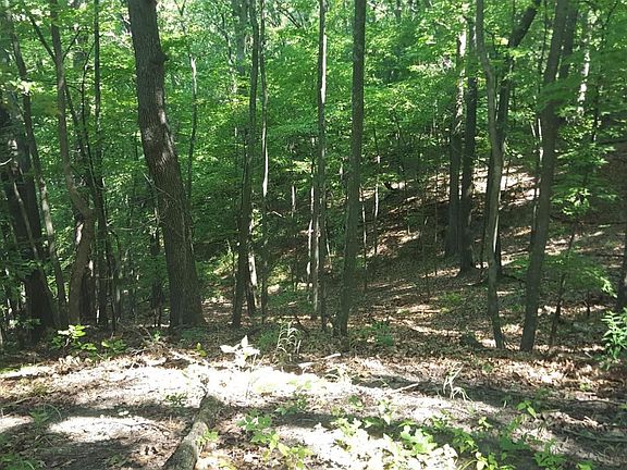 Rolling wooded