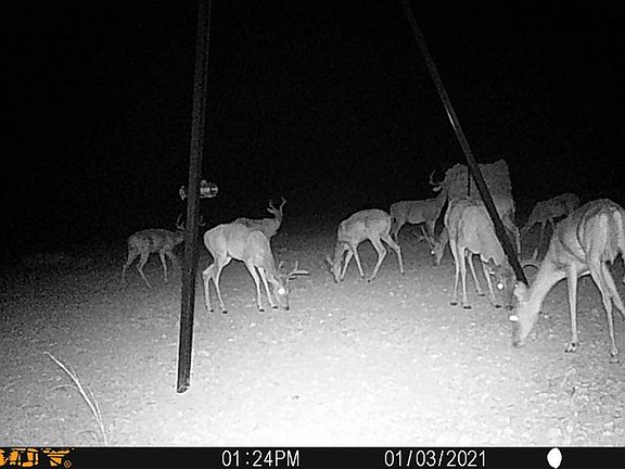 3rd image of Highway 349