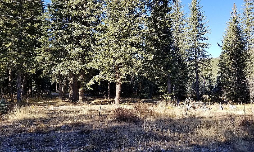 2nd image of 667 Mushroom Ln