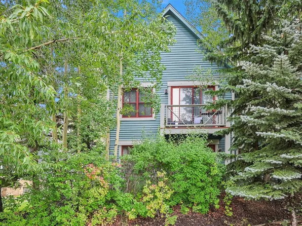 680 S Main St #19, Breckenridge, CO 80424