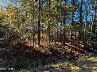 1180 Lexington Rd, Boiling Spring Lakes, NC 28461