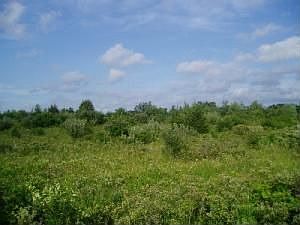 10 Acres- Cunningham Rd.