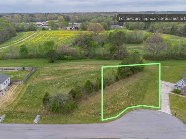 0 Hill Creek Ln Lot 8, Benton, KY 42025