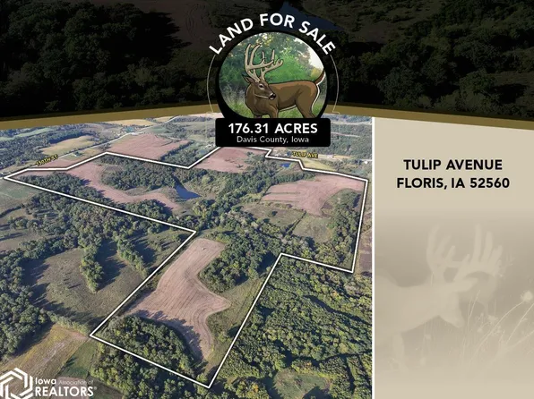 Tulip Ave, Floris, IA 52560