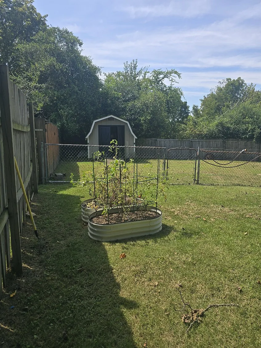 2 bed, 864 sqft, $1,250 — Photo 4