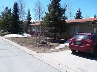 144 Bucyrus Rd, Breckenridge, CO 80424