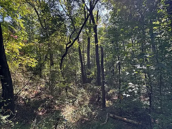 0 Norton Cir Tract 3, Carrollton, GA 30117