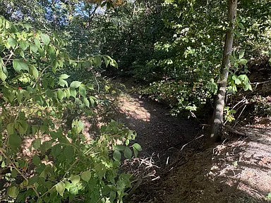 Property photo 48