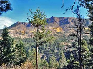 623 Old Stagecoach Road, Bailey, CO 80421