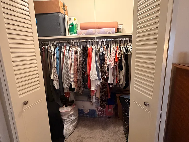 Large walk-in closet