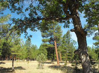 2777 Red Hawk Cir, Happy Jack, AZ 86024