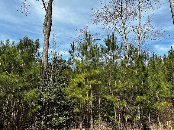 View of the parcel from Callis Field Lane.