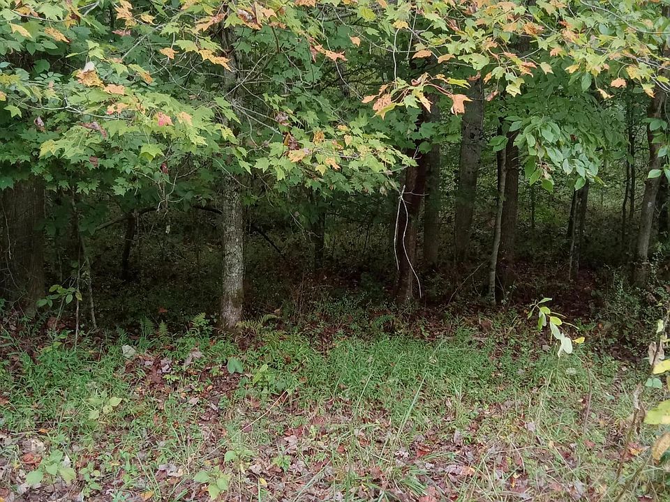 0 Ghost Rock Rd, Clintwood, VA 24228 MLS 9957398 Zillow