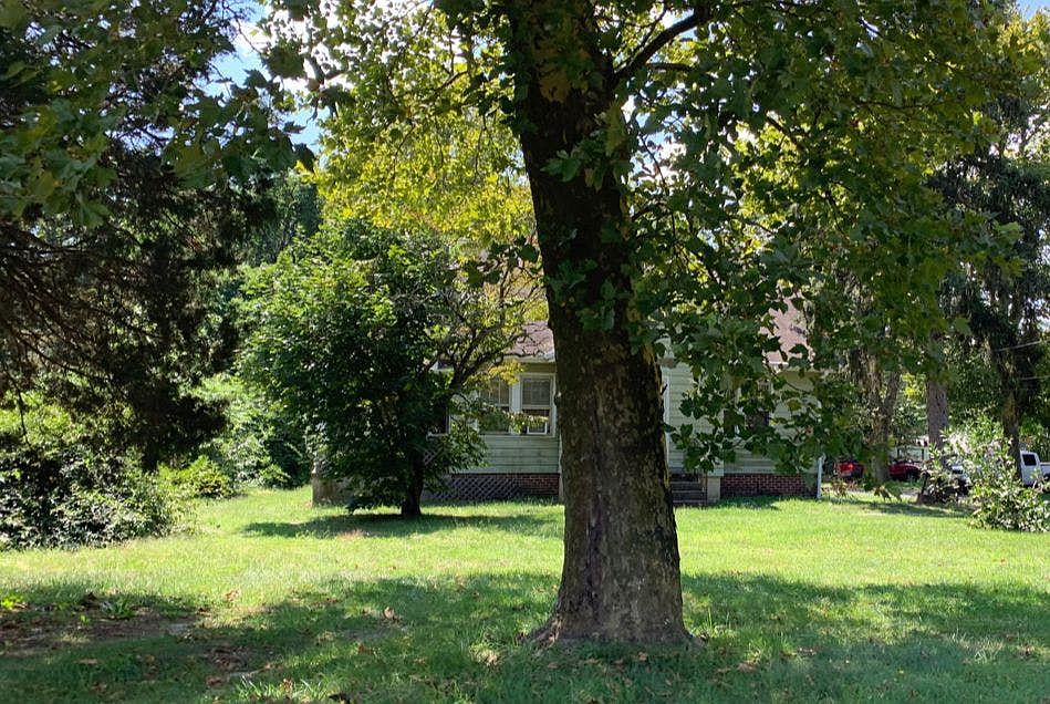 2nd image of 981 W Chestnut Ave