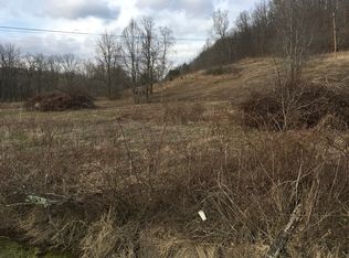 1007 Oak Hill Branch Rd, South Webster, OH 45682