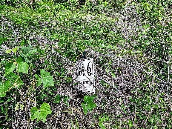 5th image of 6 Mill Creek Rd