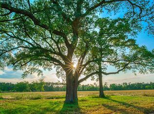 23315 Vista De Tres Lagos Dr, Spring, TX 77389