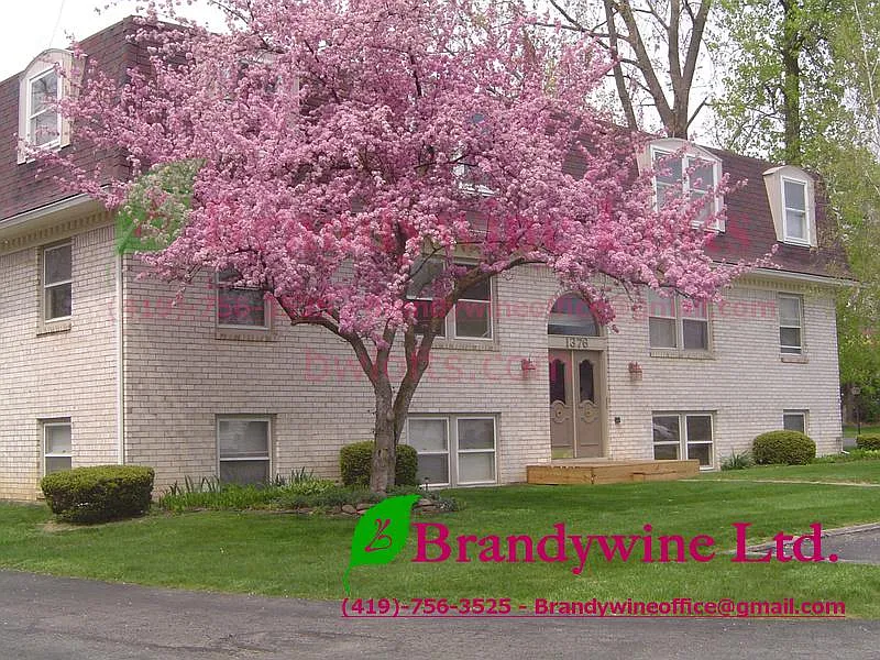 2 bed, 1000 sqft, $995 — Photo 2