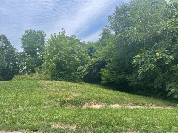 7 Rose Ave, Cottage Hills, IL 62018