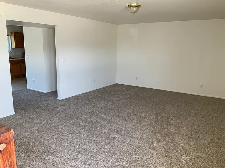 1127 Palmer Dr — Photo 3