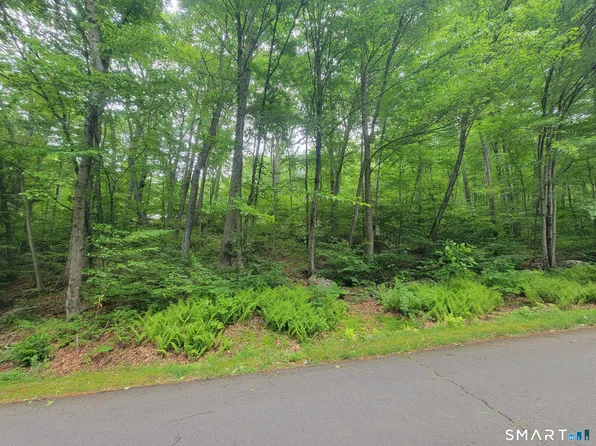 17 (Lot 2) Secret Mountain Trail, Canton, CT 06019