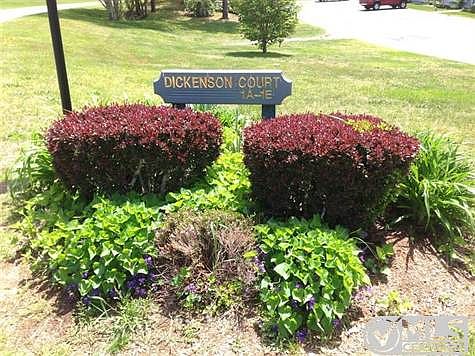 Dickenson Court in Lily Pond Overlook. Well maintained landscape and plantings.
