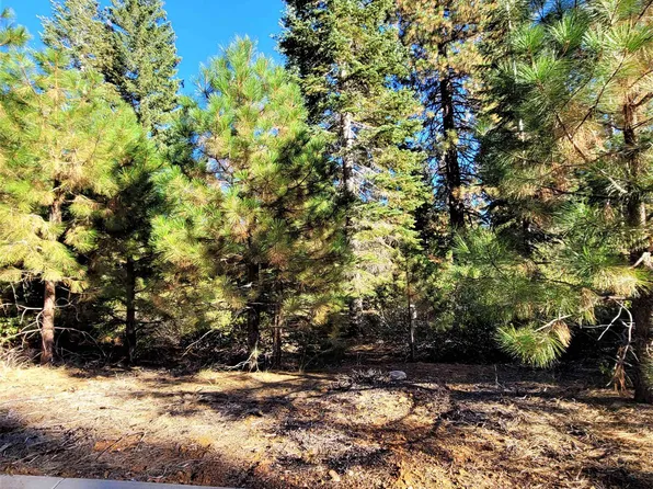 236 Alpine Fir Rd, Westwood, CA 96137