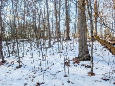 0 Tract Bch #16-59, Cutler, OH, 45724