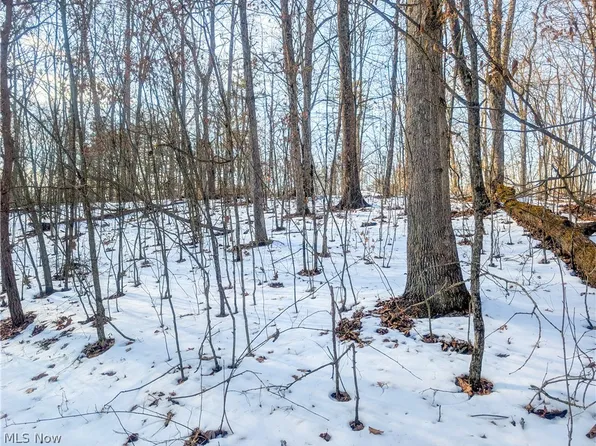 0 Tract Bch #16-59, Cutler, OH 45724