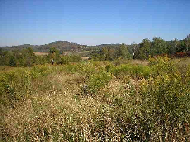 1st image of 0 NY State Route 29