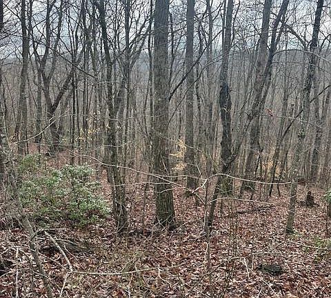 5th image of LOT 38 Pioneer Trail Ln