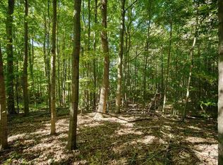 Butwell Rd, Bear Lake, MI 49614