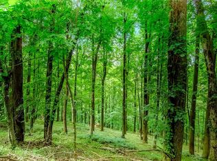 M165 Walnut Mountain, Ellijay, GA 30540