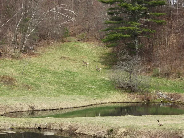 229 Sugar Hollow Road, Pittsford, VT 05763