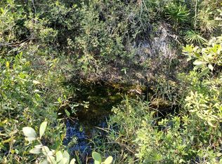0 SW Wire Rd, Lee, FL 32059