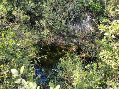 0 SW Wire Rd, Lee, FL, 32059