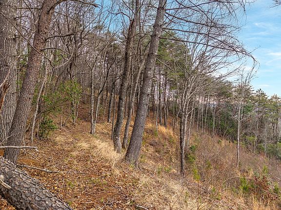 4th image of 13 White Oak Cir