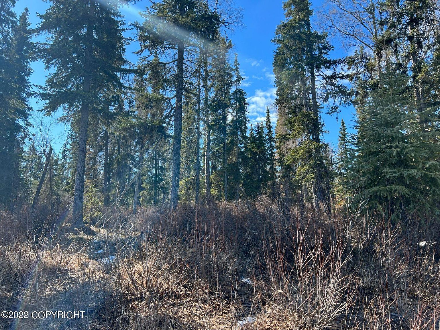 49950 Irish Hills Ave, Kasilof, AK 99610 Zillow