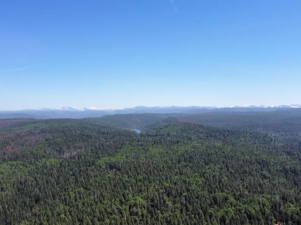 28955 Big Dipper Rd, Foresthill, CA 95631