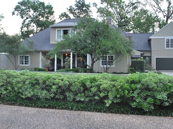Spring front view