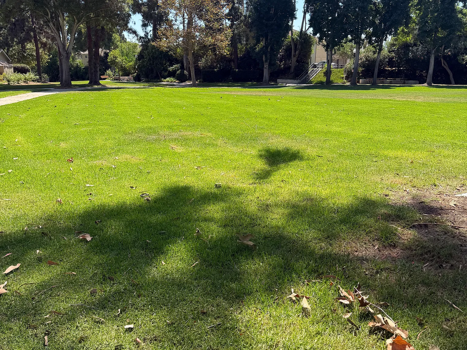 4185 Camino Islay — Photo 2