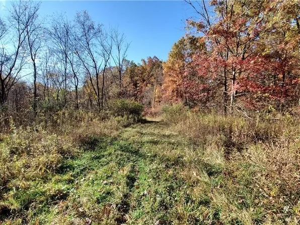 166 Township Rd, Bloomingdale, OH 43910