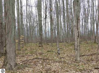 44.03 Acres Fewins Rd, Interlochen, MI 49643