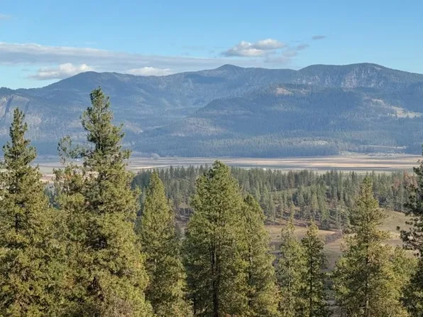 Farm To Market Loop Rd, Chewelah, WA 99109
