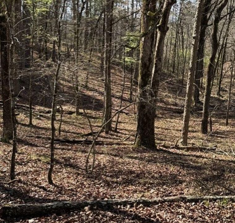 1st image of Wagon Wheel Ter
