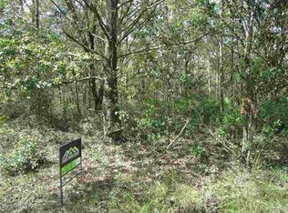 10315 E Deep Creek Blvd, Hastings, FL 32145