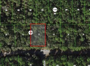 1135 E Odin Dr, Citrus Springs, FL 34434