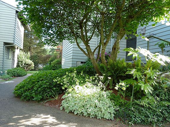 Garden in front of unit #5